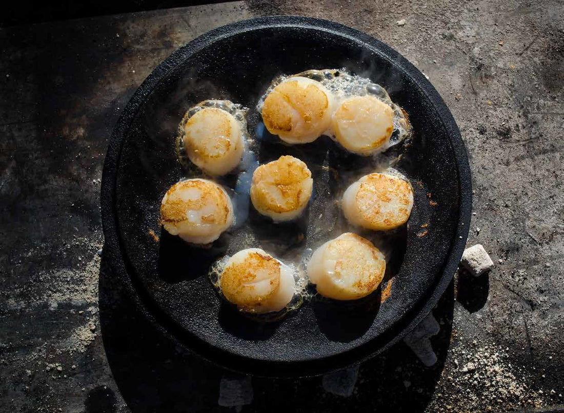 Recept: Coquilles met gestoofde venkel