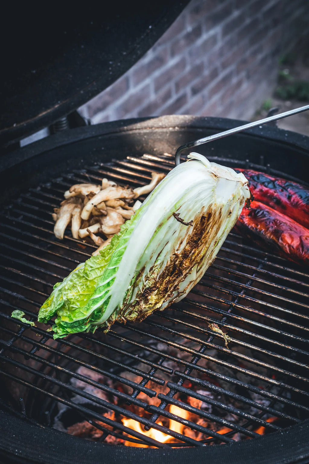 The Windmill Cast Iron Pigtail